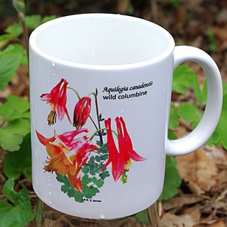 mug DS-151 7018.jpg